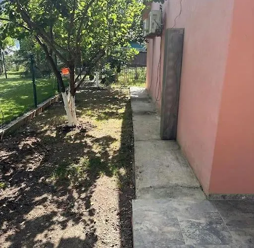 Relax Pine Golem (Tirana)